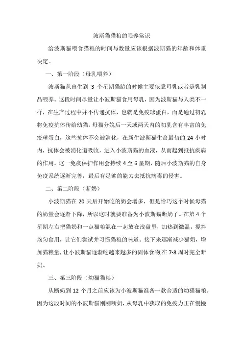 波斯猫猫粮