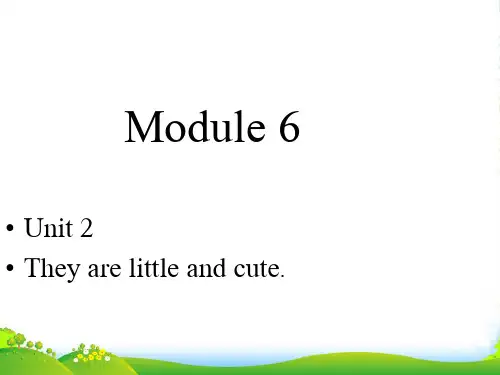 外研版一年级英语下册Module6Unit2They’relittleandcute课件1