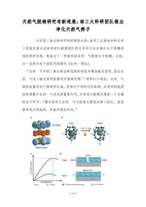天然气脱碳研究有新进展：南工大科研团队做出净化天然气筛子