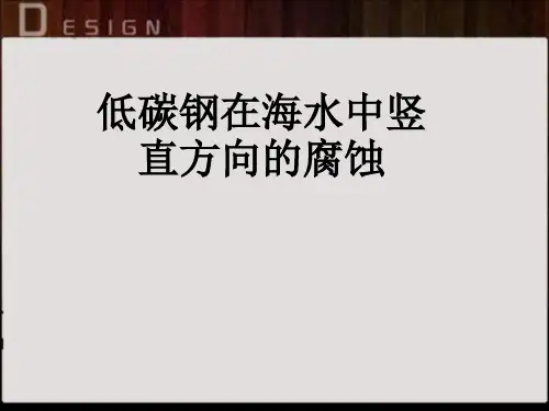 海水腐蚀