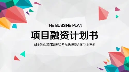 商业项目融资计划书PPT模版