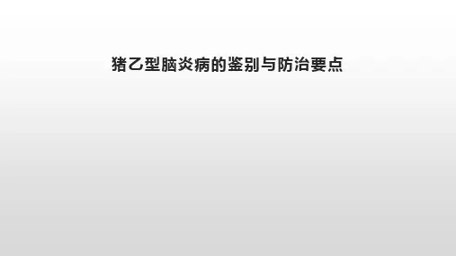 猪乙型脑炎病的鉴别与防治要点