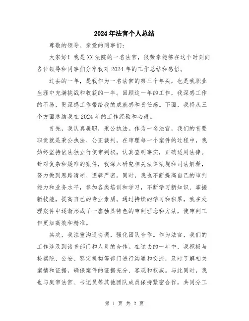 2024年法官个人总结