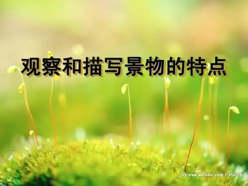 观察和描写景物的特点