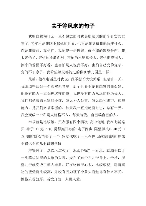 关于等风来的句子