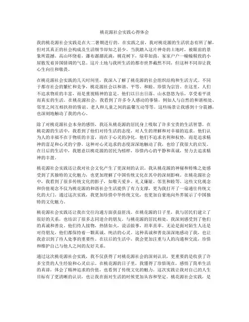 桃花源社会实践心得体会