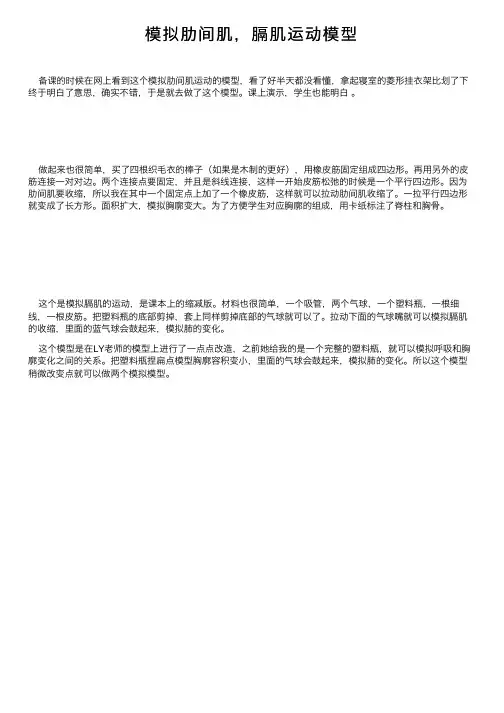 模拟肋间肌，膈肌运动模型