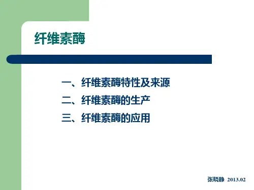 纤维素酶