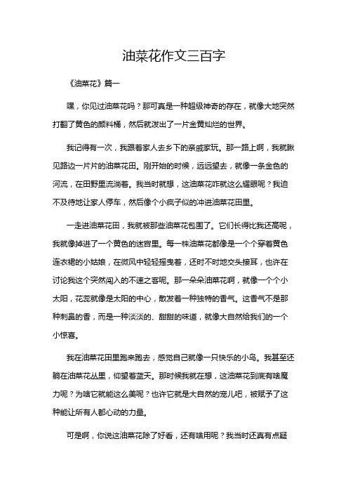 油菜花作文三百字
