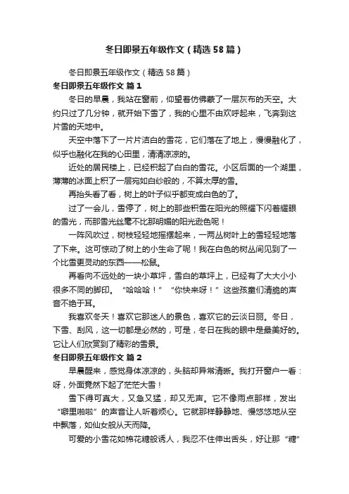 冬日即景五年级作文（精选58篇）