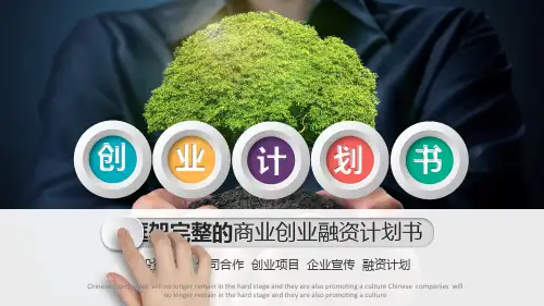影视工作室创业计划书ppt