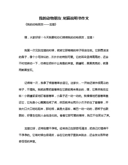 我的动物朋友 龙猫说明书作文