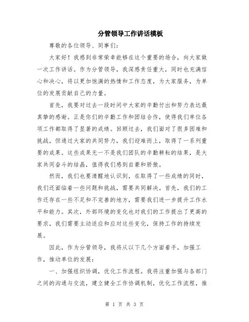 分管领导工作讲话模板