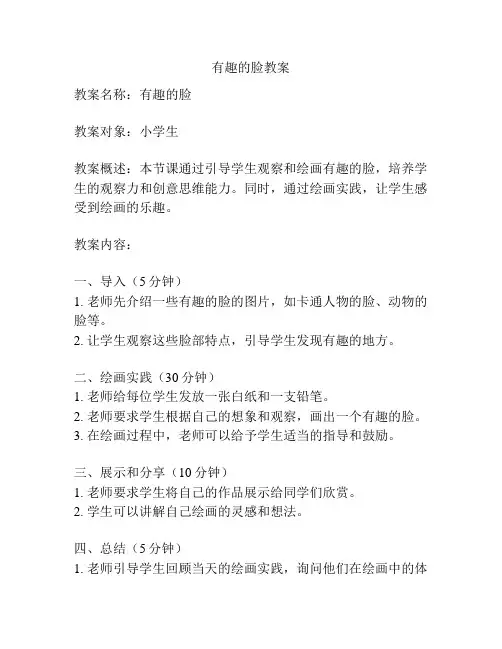有趣的脸教案