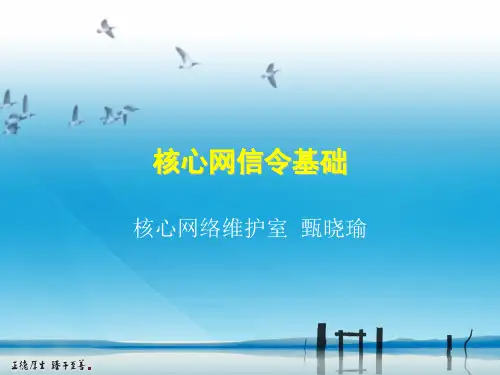核心网信令基础121120