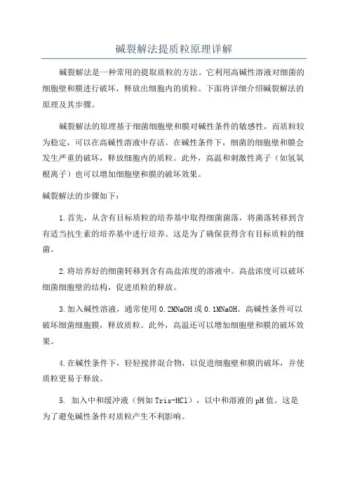 碱裂解法提质粒原理详解