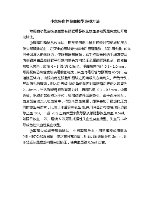 小鼠失血性贫血模型造模方法