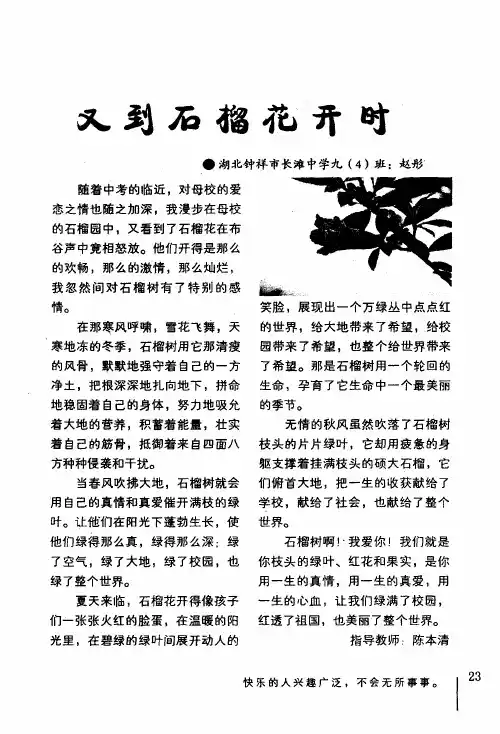 又到石榴花开时