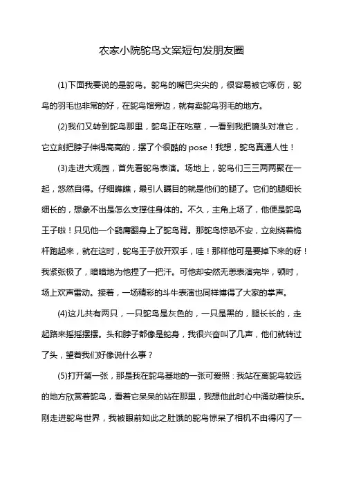 农家小院鸵鸟文案短句发朋友圈