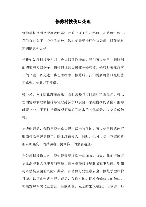 修剪树枝伤口处理
