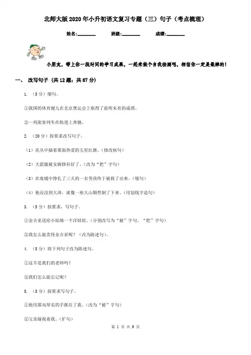 北师大版2020年小升初语文复习专题(三)句子(考点梳理)