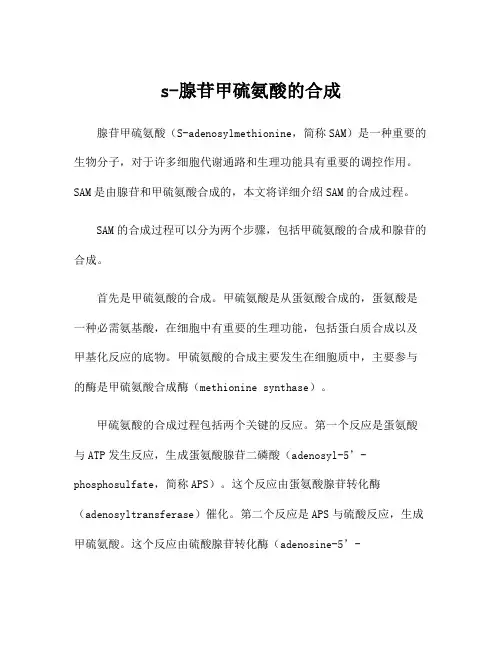 s-腺苷甲硫氨酸的合成