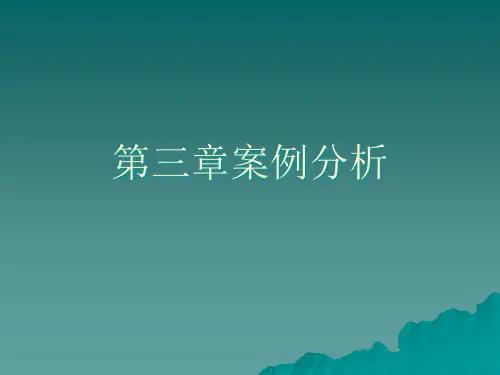 财政学案例分析ppt课件