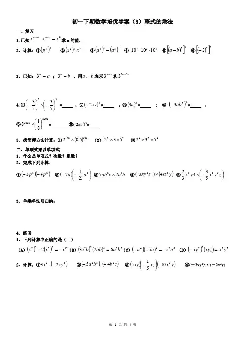 初一下期数学培优学案(3)整式的乘法