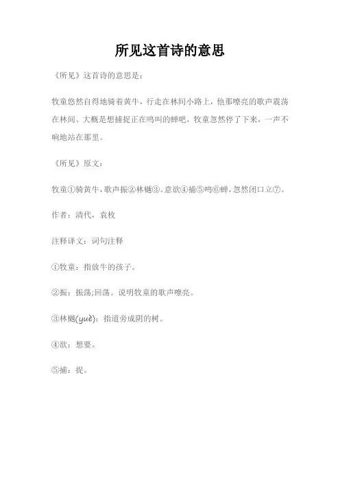 所见这首诗的意思。
