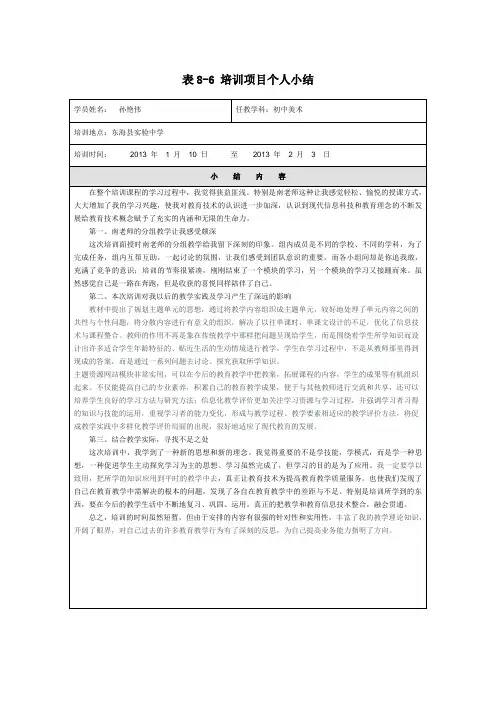 培训项目个人小结教师教育技术能力中级培训教育技术培训教程