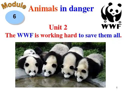 新外研版八年级英语上Module6Animalsin_dangerUnit2PPT课件