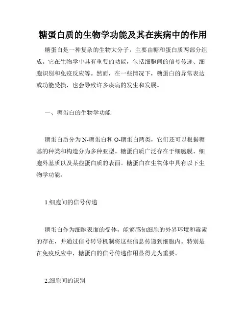 糖蛋白质的生物学功能及其在疾病中的作用