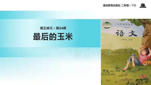二年级下册语文课件14最后的玉米｜鄂教版 (共14张PPT)