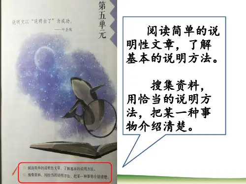 五年级上册语文课件- 《16.太阳》 部编版 (共16张PPT)