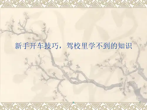 新手开车技巧分享PPT