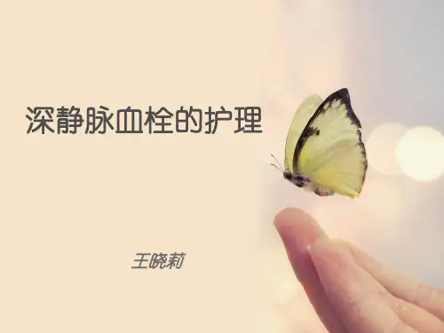 深静脉血栓的护理PPT课件
