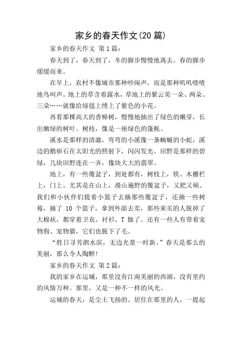 家乡的春天作文(20篇)