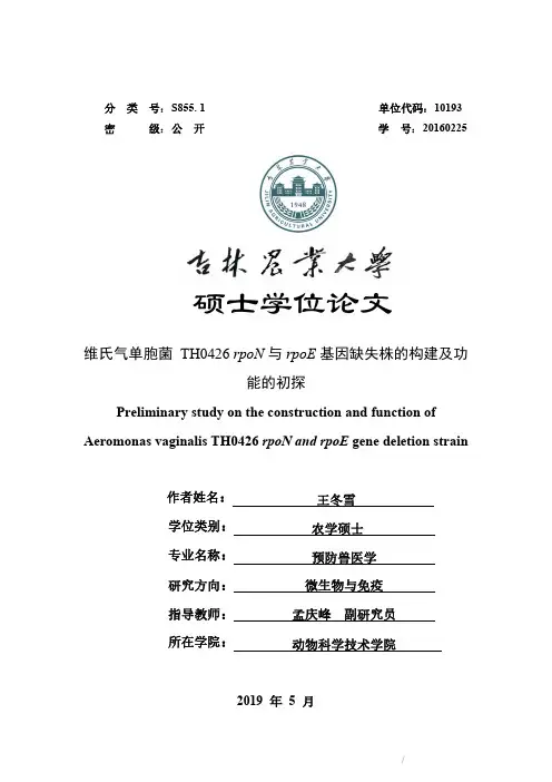 维氏气单胞菌TH0426rpoN与rpoE基因缺失株的构建及功能的初探