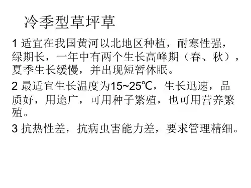 常见冷季型草坪草的识别