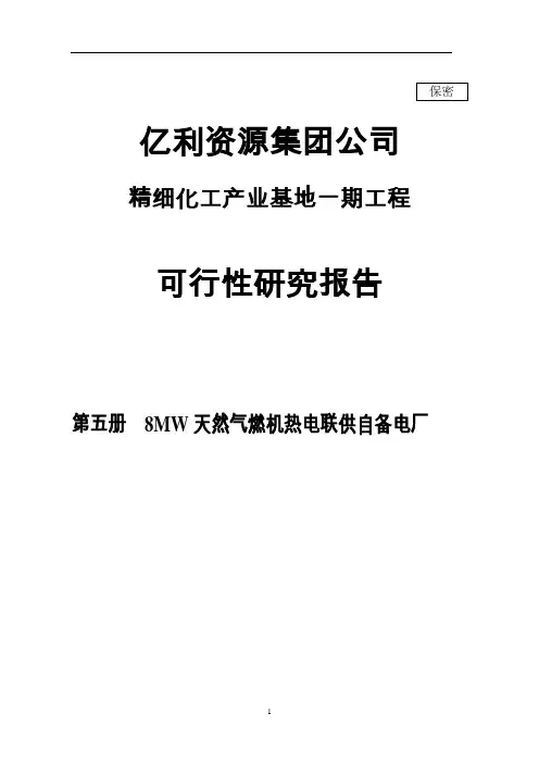 某燃气联合循环燃机电厂的可行性研究报告