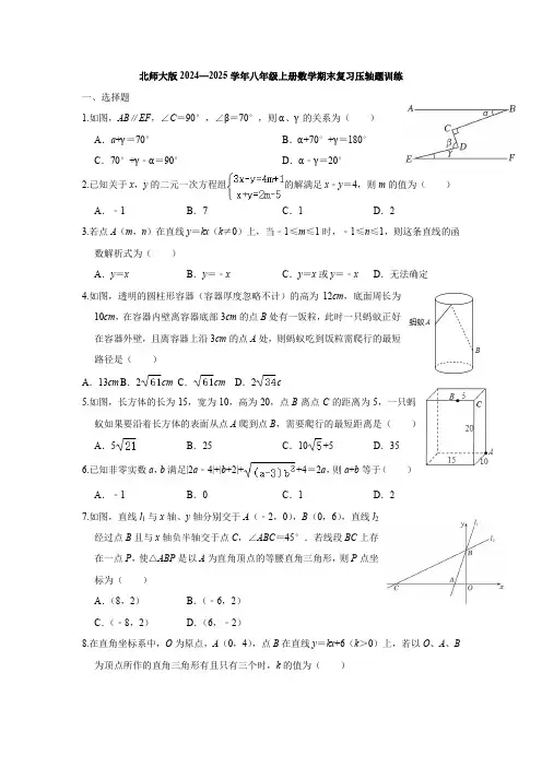 北师大版2024—2025学年八年级上册数学期末复习压轴题训练