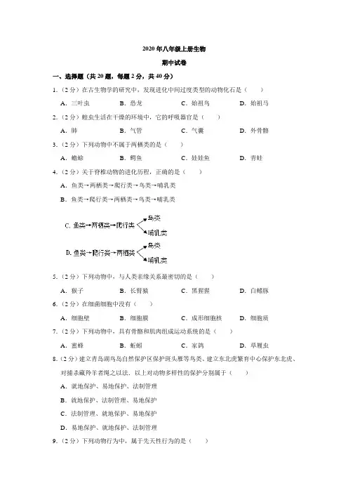 2020年八年级上册生物期中试卷与解析 (3)