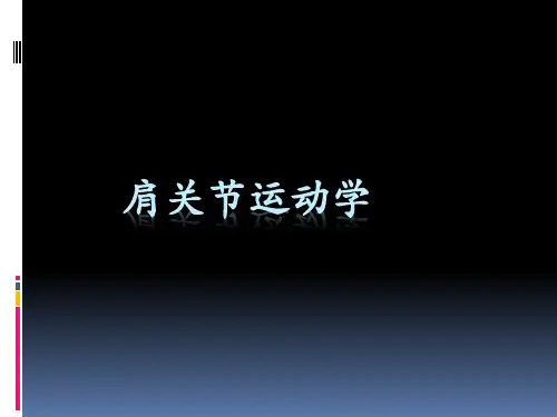肩关节运动学