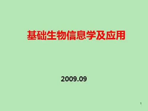 系统发生树构建PPT课件