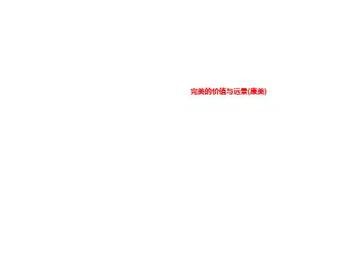 完美的价值与远景(康美)