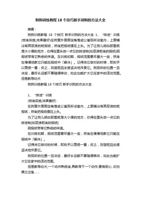 狗狗训练教程18个技巧新手训狗的方法大全