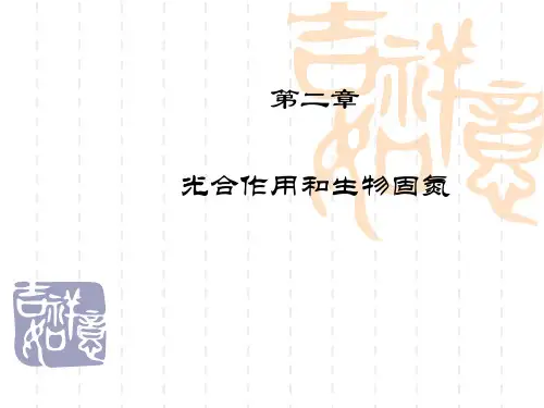 七年级生物课件 第二章光合作用固氮