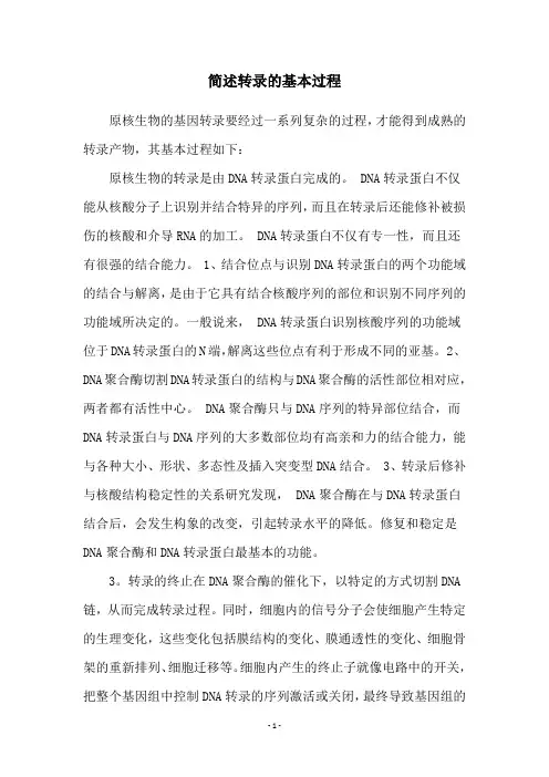 简述转录的基本过程