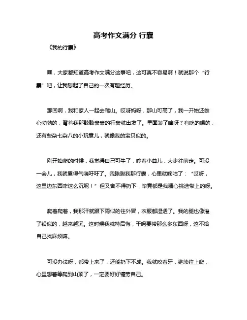 高考作文满分 行囊