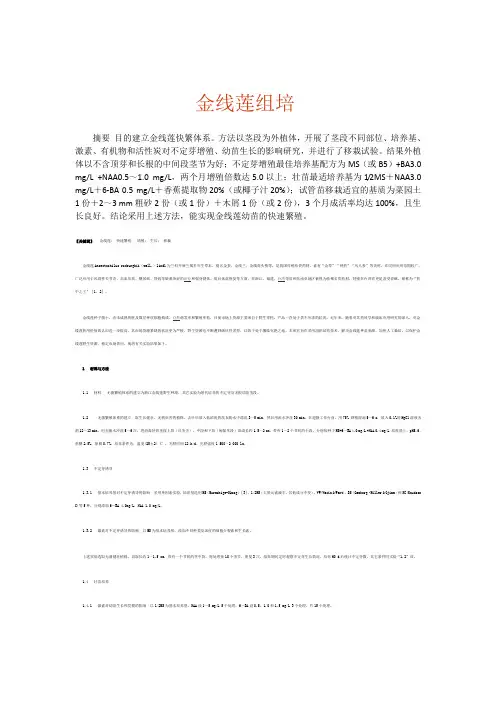 金线莲组培